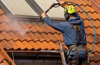 Démoussage et hydrofuge de toiture à Vieux-Pont